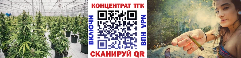 ТГК THC oil  Купить где  Звенигово 