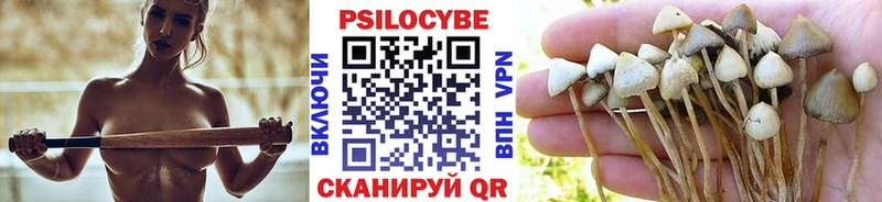 Галлюциногенные грибы Psilocybine cubensis  Купить  Звенигово 